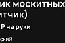 В Саратове «москитчику» готовы платить 50 тысяч рублей 