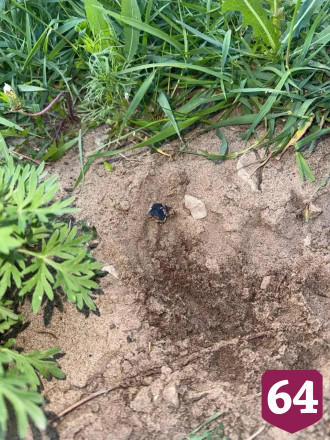 В Саратове поймали 18-летнего закладчика синтетики